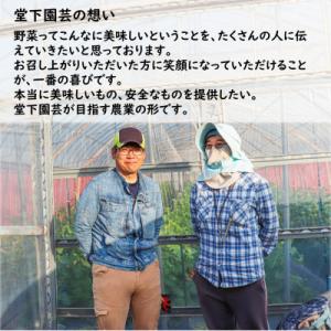 ふるさと納税 あわら市 【毎月定期便】農家直送...の詳細画像3