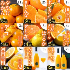 ふるさと納税 八幡浜市 【発送月固定定期便】「こたつの上の冬物語」驚異の全14種類!!【H49-75】全9回｜Yahoo!ふるさと納税