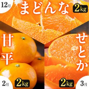 ふるさと納税 八幡浜市 【発送月固定定期便】「こたつの上の冬物語」高級3品種　まどんな+甘平+せとか...