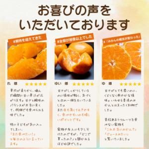 ふるさと納税 八幡浜市 【発送月固定定期便】「...の詳細画像2