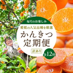 ふるさと納税 八幡浜市 【発送月固定定期便】愛媛の人気品種を厳選!みかん定期便(訳あり)【H25-1...