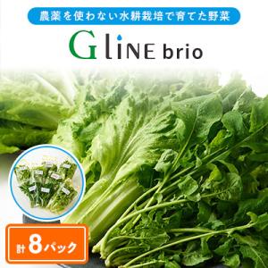 ふるさと納税 太子町 【毎月定期便】G Line brio レタス8パックセット全2回