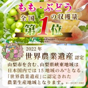 ふるさと納税 山梨市 【発送月固定定期便】20...の詳細画像2