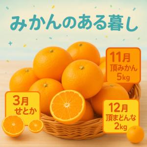 ふるさと納税 八幡浜市 【発送月固定定期便】美味しいみかん柑橘のある暮らし【みかん・まどんな・せとか...
