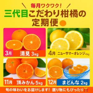 ふるさと納税 八幡浜市 【発送月固定定期便】柑橘【みかん・まどんな・きよみ・ニューサマーオレンジ】【...