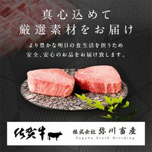ふるさと納税 伊万里市 【発送月固定定期便】肉...の詳細画像3