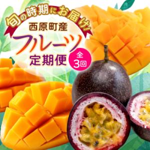 ふるさと納税 西原町 【発送月固定定期便】沖縄の...の商品画像