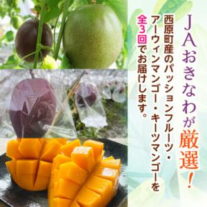 ふるさと納税 西原町 【発送月固定定期便】沖縄...の詳細画像1