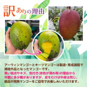 ふるさと納税 西原町 【発送月固定定期便】沖縄...の詳細画像2