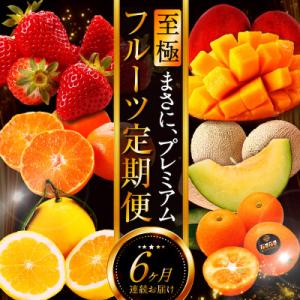 ふるさと納税 宮崎市 【発送月固定定期便】宮崎の...の商品画像