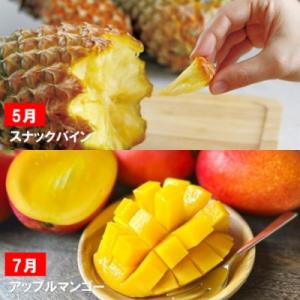 ふるさと納税 名護市 【発送月固定定期便】一番...の詳細画像2
