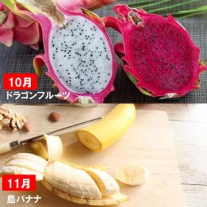 ふるさと納税 名護市 【発送月固定定期便】一番...の詳細画像3