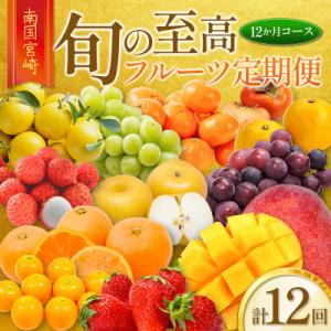 ふるさと納税 新富町 【発送月固定定期便】南国宮崎 旬の【至高】フルーツ定期便　12か月コース【G25】全12回