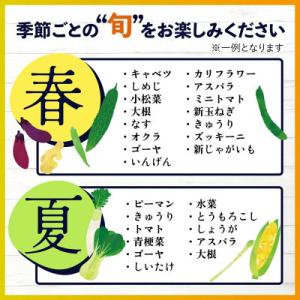 ふるさと納税 鹿島市 【毎月定期便】旬のおまか...の詳細画像2