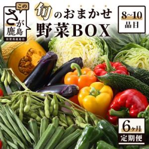ふるさと納税 鹿島市 【毎月定期便】旬のおまかせ野菜BOX 詰め合わせ 8〜10品目全6回