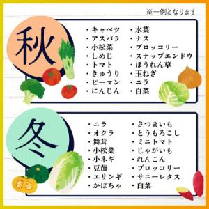 ふるさと納税 鹿島市 【毎月定期便】旬のおまか...の詳細画像3