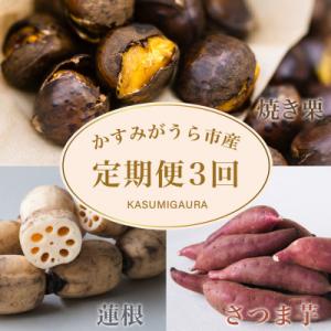 ふるさと納税 かすみがうら市 【発送月固定定期便】茨城県 特産品3種全3回