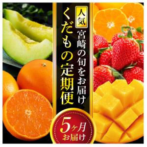 ふるさと納税 宮崎市 【発送月固定定期便】人気くだもの定期便(宮崎市)全5回