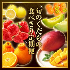ふるさと納税 宮崎市 【発送月固定定期便】旬のくだもの食べきり定期便(宮崎市)全6回
