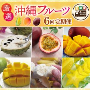 ふるさと納税 豊見城市 【発送月固定定期便】厳選!沖縄フルーツ定期便全6回