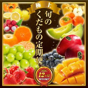 ふるさと納税 新富町 【発送月固定定期便】旬のくだもの定期便「極上コース」全12回