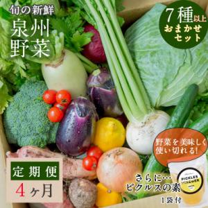 ふるさと納税 泉佐野市 【毎月定期便】旬の新鮮野菜セット 7種以上 ピクルスの素付き 全4回