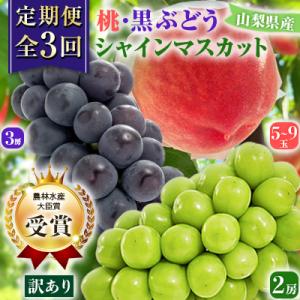 ふるさと納税 山梨市 【発送月固定定期便】【訳ア...の商品画像