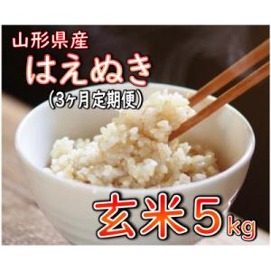 ふるさと納税 新庄市 【毎月定期便】はえぬき 玄米 5kg　全3回