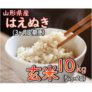 ふるさと納税 新庄市 【毎月定期便】はえぬき 玄米 10kg全3回