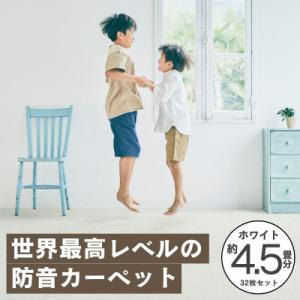 ふるさと納税 和泉市 最大82%の音をカットする...の商品画像