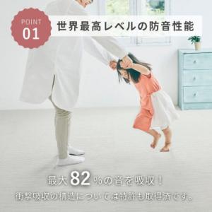 ふるさと納税 和泉市 最大82%の音をカットす...の詳細画像1