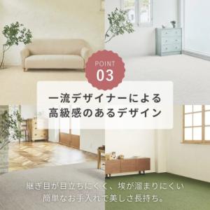 ふるさと納税 和泉市 最大82%の音をカットす...の詳細画像3
