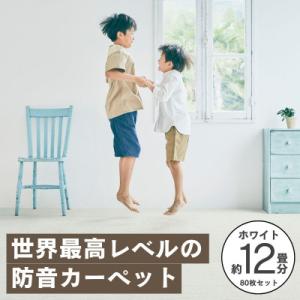 ふるさと納税 和泉市 最大82%の音をカットする...の商品画像