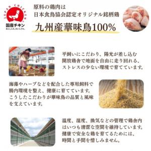 ふるさと納税 玉名市 【毎月定期便】国産ドッグ...の詳細画像1