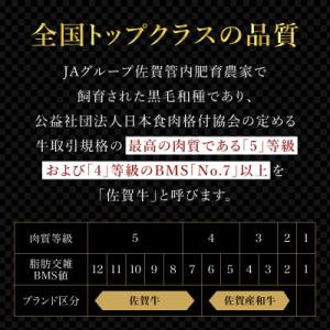 ふるさと納税 大町町 【毎月定期便】佐賀牛 ヒ...の詳細画像2