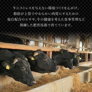 ふるさと納税 大町町 【毎月定期便】佐賀牛 ヒ...の詳細画像3