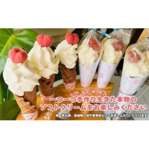 ふるさと納税 北広島市 【毎月定期便】地球のグラスフェッドソフトクリーム 6個全12回