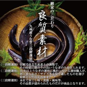 ふるさと納税 鹿屋市 【毎月定期便】大人気!鯉...の詳細画像2