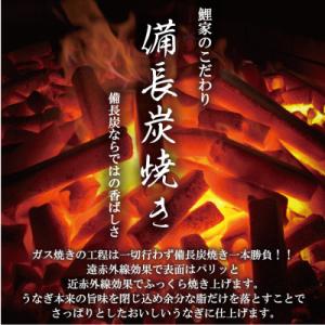 ふるさと納税 鹿屋市 【毎月定期便】大人気!鯉...の詳細画像3