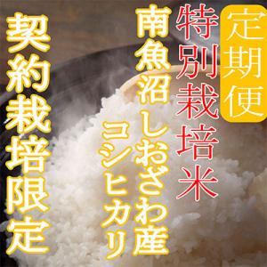 ふるさと納税 南魚沼市 【発送月固定定期便】※特別栽培米20Kg※生産者限定 南魚沼しおざわ産コシヒカリ全9回