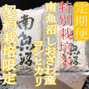 ふるさと納税 南魚沼市 【発送月固定定期便】※...の詳細画像3