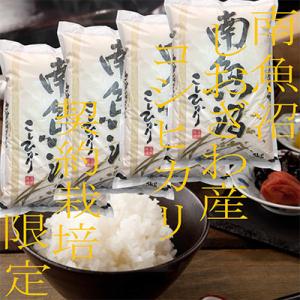 ふるさと納税 南魚沼市 【発送月固定定期便】契約栽培限定 南魚沼しおざわ産コシヒカリ 精米20Kg全9回