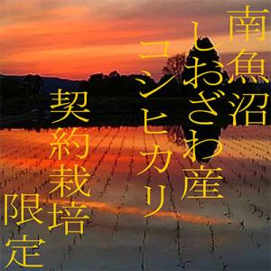 ふるさと納税 南魚沼市 【発送月固定定期便】契...の詳細画像2