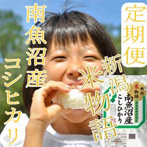 ふるさと納税 南魚沼市 【発送月固定定期便】【...の詳細画像1