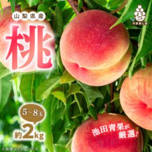 ふるさと納税 山梨市 【発送月固定定期便】桃5...の詳細画像1