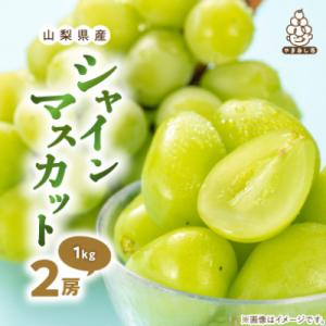 ふるさと納税 山梨市 【発送月固定定期便】桃5...の詳細画像2