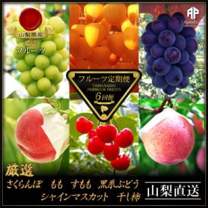 ふるさと納税 山梨市 【発送月固定定期便】フルーツ定期便全6回
