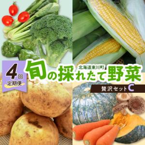 ふるさと納税 東川町 【発送月固定定期便】「旬の採れたて野菜」贅沢セットC全4回