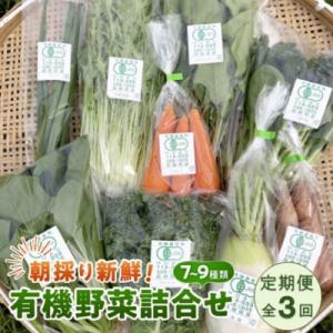 ふるさと納税 浜田市 【毎月定期便】朝採り新鮮!有機野菜セット詰合せ(7〜9種類)全3回