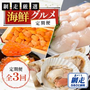 ふるさと納税 網走市 【毎月定期便】網走厳選の海鮮グルメ定期便(バフン雲丹とイクラ醤油漬け・刺身帆立...